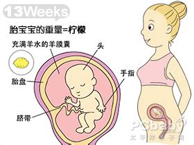 【怀孕13周】怀孕十三周胎儿图,怀孕13周吃什么、注意什么_亲子百科_太平洋亲子网