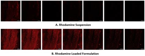 Development and Characterization of Methyl-Anthranilate-Loaded Silver ...