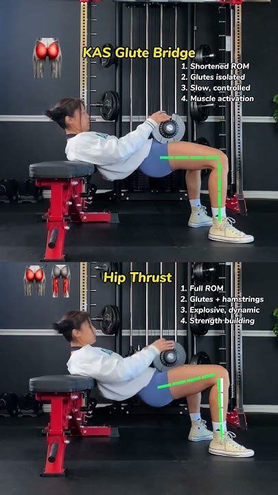 KAS GLUTE BRIDGE VS.HIP THRUST Know the difference in 2025 | Glute ...