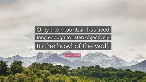 Aldo Leopold Quote: “Only the mountain has lived long enough to listen ...