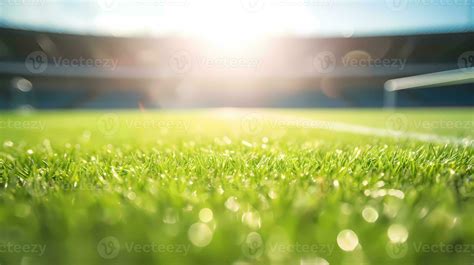 Sports field Background 的图像结果