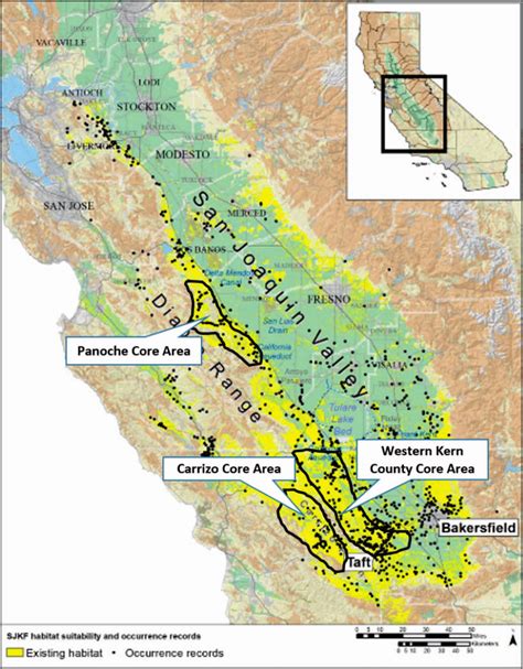 MOVEMENTS BY SAN JOAQUIN KIT FOXES (VULPES MACROTIS MUTICA) BETWEEN ...