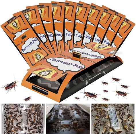 Buy 2024 Upgrade 24 Pack Roach Killer Indoor Infestation, Cockroach ...