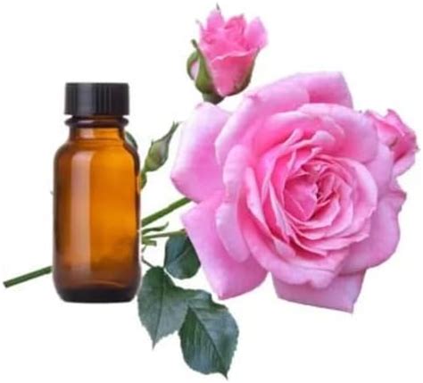 Buy Afroheal Rose Essential Oil – RCO (Oil 500ML 048) Online at Low ...