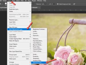 Image result for Using Selective Color Photoshop