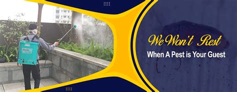 Pest Control Service in Kolkata with Best Price