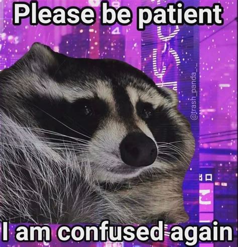 Pin by BaileyBama on Meme | Cute memes, Animal memes, Memes