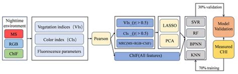 Prediction of Rice Chlorophyll Index (CHI) Using Nighttime Multi-Source ...