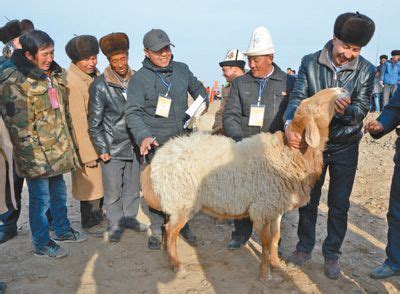 羊年说羊|文章|中国国家地理网