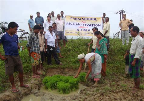 Welcome to Krishi Vigyan Kendra, Momong
