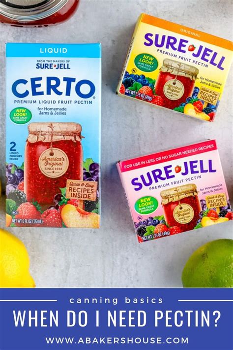 Kuvatulokset haulle pectin vs inulin