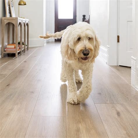 Luxury Vinyl Flooring - PriceCo Floors