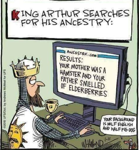 Image result for Monty Python Bad Translation