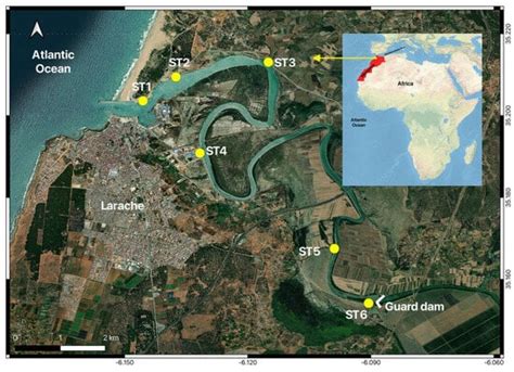 Benthic Macrofauna in the Loukkos Estuary, Morocco: Patterns and ...