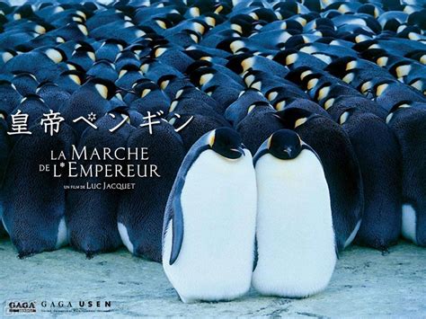 帝企鹅日记(2005)的海报和剧照 第35张/共44张【图片网】