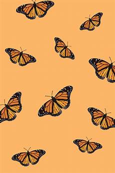 Orange Butterfly Wallpaper Vsco by Vsco Butterfly Laptop Wallpapers Wallpaper Cave Orange Butterfly Wallpaper Vsco