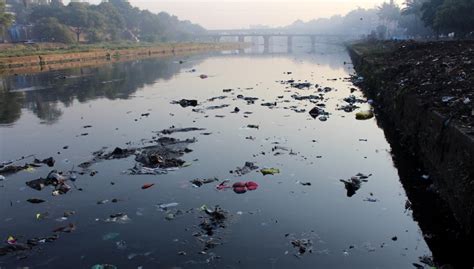 Amazing India River Day 2018 celebrations in Pune – SANDRP