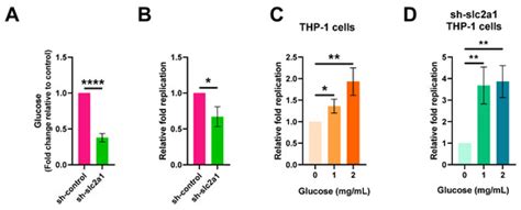 Salmonella enterica Serovar Typhi Induces Host Metabolic Reprogramming ...