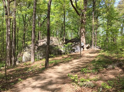 Gloria in Excelsis Deo: Big Rock Nature Preserve
