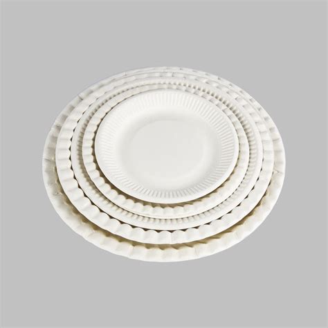 10-Inch Paper Plates Biodegradable Disposable Round Plates, Eco ...