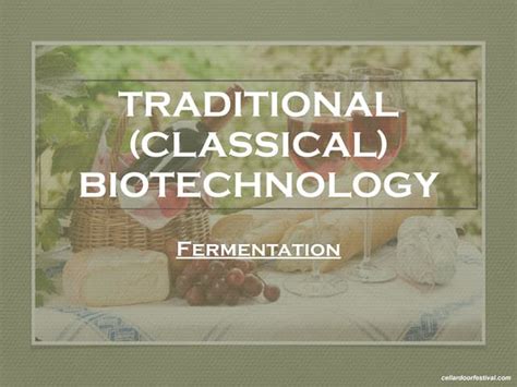 Traditional Biotechnology 的图像结果