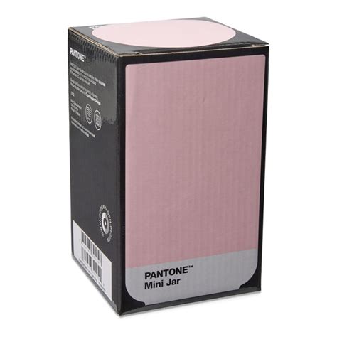 PANTONE Μίνι Βάζο 500ml - Light Pink μόνο με 39.00