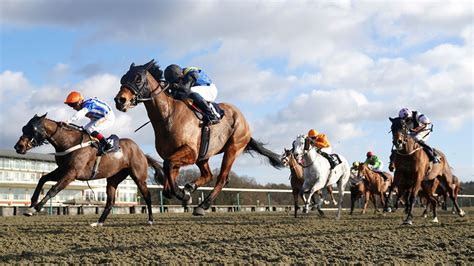 Monday tips: Five to watch at Lingfield and Newcastle from Sky Sports ...