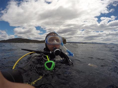 BICHENO DIVE CENTRE (2026) All You Need to Know BEFORE You Go (with ...