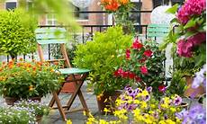 fiori per il balcone idee per un balcone fiorito fai da te 7 segreti per fiori per il balcone idee per un balcone fiorito fai da te 7 segreti per