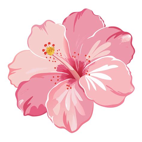 Pink Hibiscus Flower Clipart - Free Png, Svg, Vector Images ...
