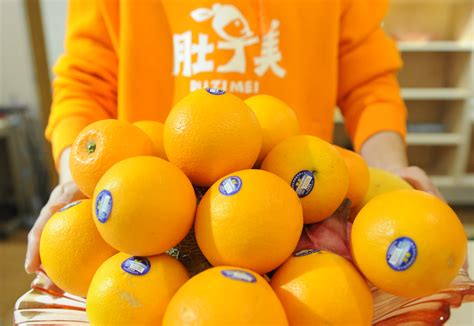 肚子美：见证生态自然橙品牌的诞生 | 国际果蔬报道