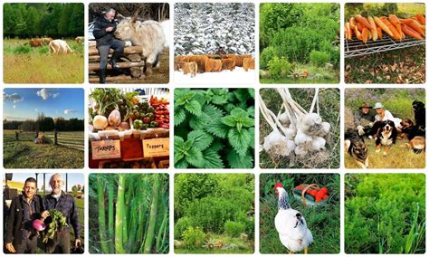 Local Farms 的图像结果