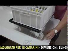 canarini alimentazione pre canarini storie di allevatori doovi canarini alimentazione pre canarini storie di allevatori doovi