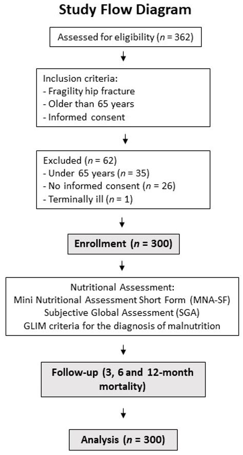 Global Subjective Assessment and Mini Nutritional Assessment Short Form ...