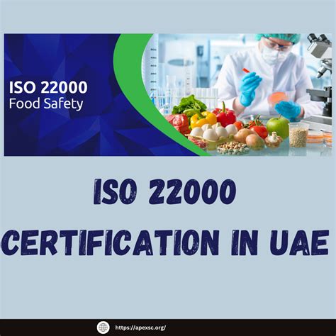 What is ISO certification and why is it important for environmental management in Qatar? | by ...