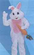 Image result for Bunny Costumes
