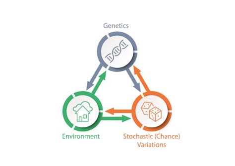 Aging Model 的图像结果