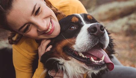 Rankin Animal Clinic | Fairhope, AL | Pet Dentistry