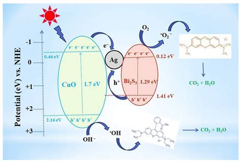 Recent Developments in Semiconductor-Based Photocatalytic Degradation ...
