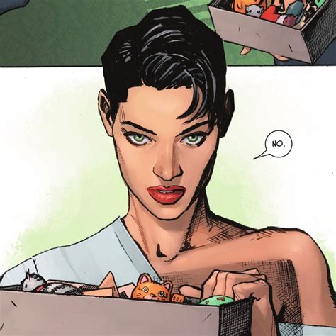 selina kyle aka catwoman icon. Comic Book Art Style, Pop Art Comic ...