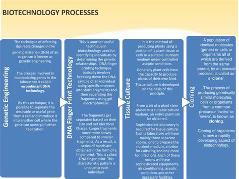 Biotechnology Process 的图像结果