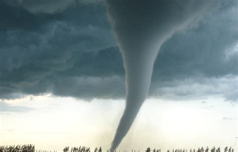 Article Usage Examples 的图像结果