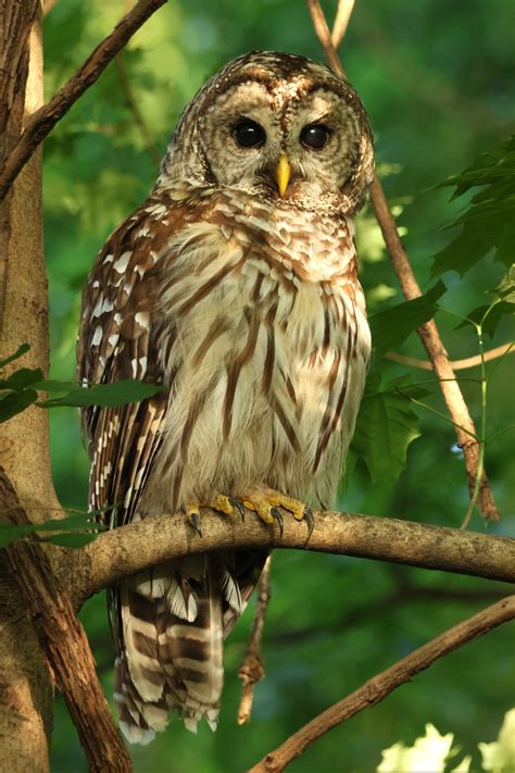 A Critical Social Faux Pas You Must Avoid in Mexico | Ventanas Mexico