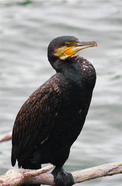 Tip+Screen+Image Photos, Download The BEST Free Tip+Screen+Image Stock ...