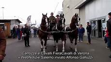 carrozze e cavalli carrozze e cavalli carrozze e cavalli carrozze e cavalli