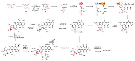 Biosynthesis of DNA-Alkylating Antitumor Natural Products ...