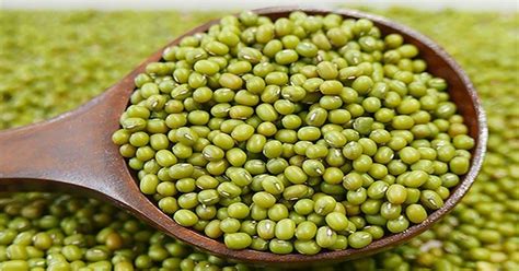 manfaat air kacang hijau
