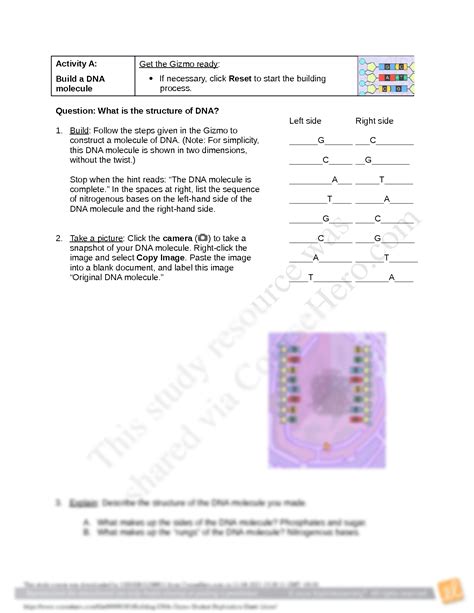 SOLUTION: Building dna gizmo student exploration sheet 1 docx - Studypool