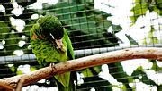 Image result for Panel Example in Java