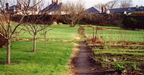Historic Westport garden sold to private bidder for €500,000 – The ...